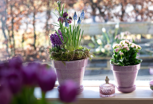 Vaser rustico serien Casa Jada