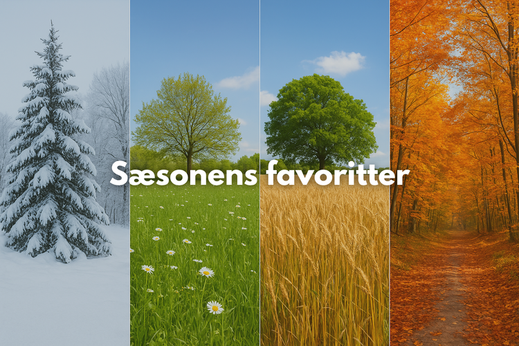 Sæsonens-favoritter| Casa Jada